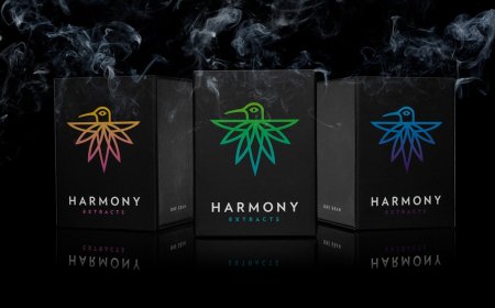 What Should You Look for When Ordering Custom Cannabis Boxes?