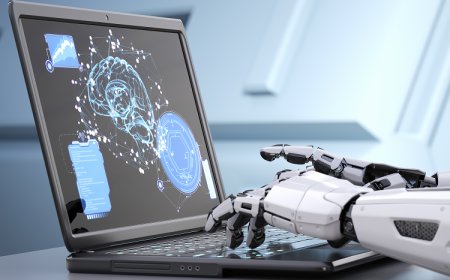 Expert Ecommerce SEO Services to Boost Sales, Traffic & Rankings | Napollo