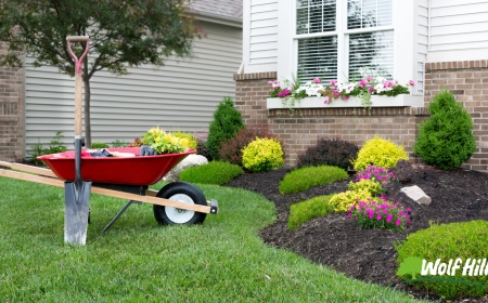 Turn Your Vision into Reality with Expert Landscaping in Manassas, VA