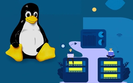 What Makes Linux Shared Web Hosting a Reliable Choice for Small Sites