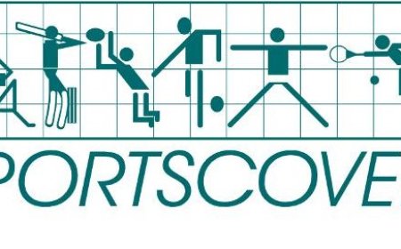 Reliable Sports Data Feed for Accurate and Fast Updates