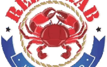 Top 5 Things to do in Pensacola, FL