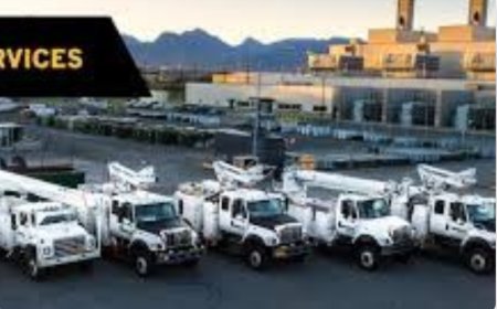 How Trucking TMS Software Supports UIIA Insurance Requirements