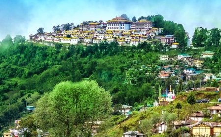 Unforgettable 6 Nights 7 Days Tawang Package Adventure