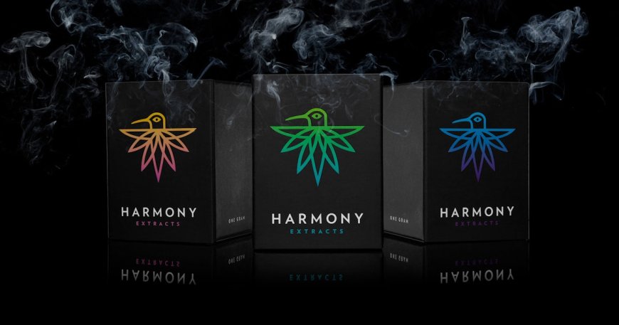 What Should You Look for When Ordering Custom Cannabis Boxes?