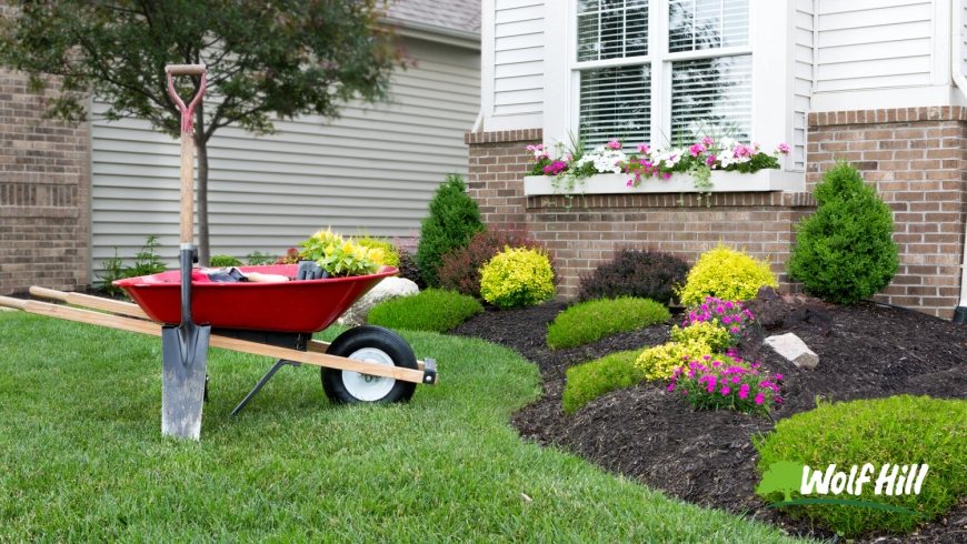 Turn Your Vision into Reality with Expert Landscaping in Manassas, VA
