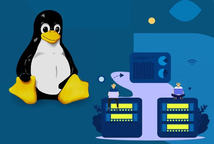 What Makes Linux Shared Web Hosting a Reliable Choice for Small Sites