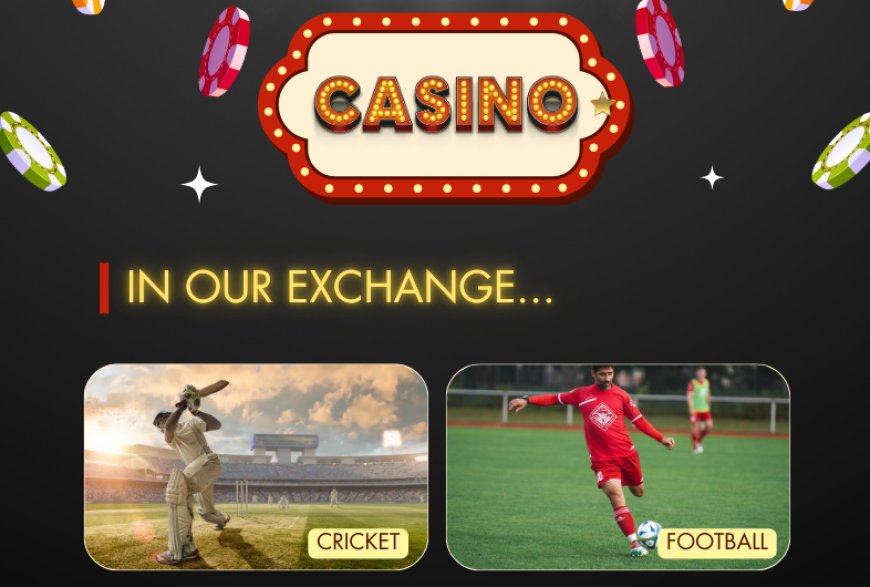 11xplay Login – Your Gateway to Nonstop Gaming Action