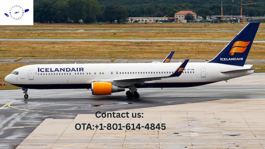 How do I speak to a someone at Iceland Air?