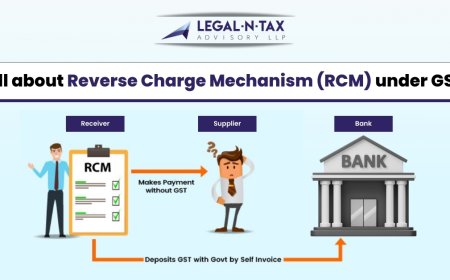 Consultant for Tax Compliance in Delhi: Simplifying Tax for Individuals and Businesses