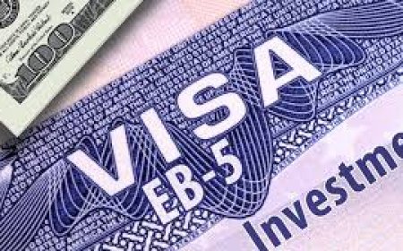 What’s the Best Way to Apply for Student Visas for USA?