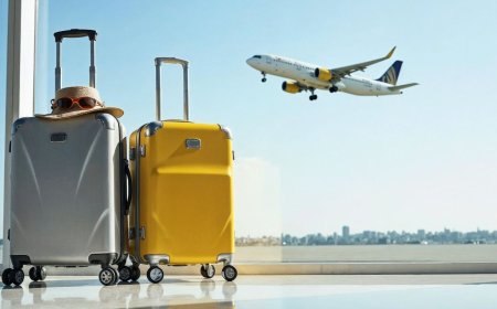 How Do I Contact to a Real Person on Expedia? Your Direct Options Here!