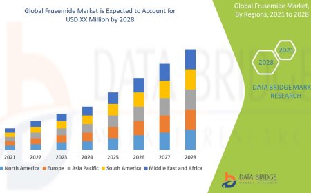 Frusemide Market : Key Drivers and Restraints 2025 –2032