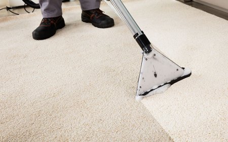 How Long Does It Take for Carpets to Dry After Cleaning?