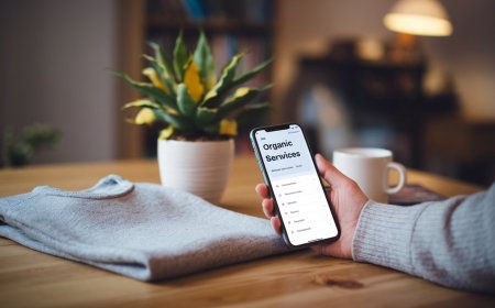 Your Guide to Powerful Organic SEO Services