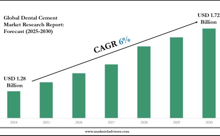 Dental Cement Market Outlook: Size, Share, and Competitive Trends 2030