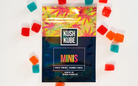 Premium 10mg THC Edibles Gummies – Consistent, Potent & Delicious Relief