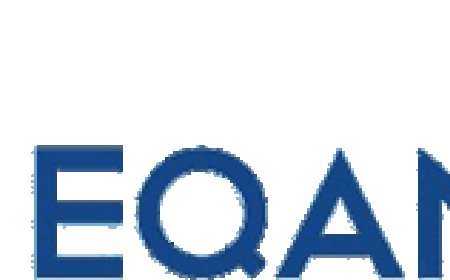 Bug-Free Brilliance: Why Software Testing Services in India Are Powering the Digital Future