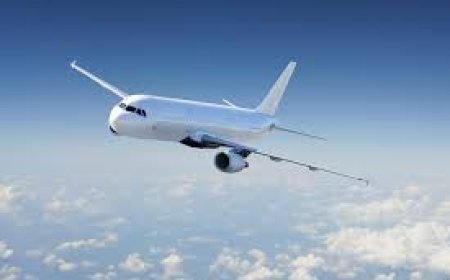 Copa Airlines Flight