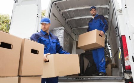Moving Companies Local Move: How to Choose the Right Team for a Smooth Relocation