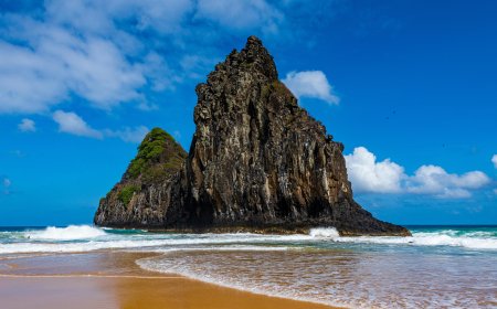 Turkish Airlines New York City Office – Your Travel Partner in the Heart of NYC