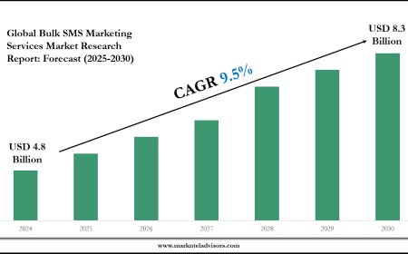 Bulk SMS Marketing Services Industry Share, Size, and Competitive Landscape 2030