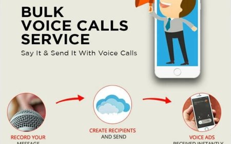 Ways to Optimize Your Bulk Voice Call Campaign