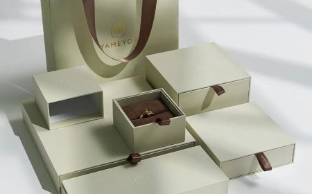 Cake Box Packaging: The Full-Dimensional Revolution from Functional Carrier to Brand Art