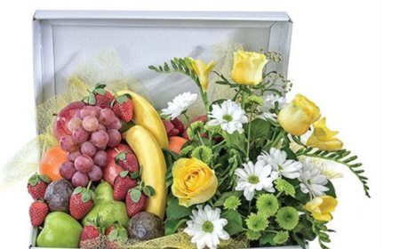 Flowers That Make the Best First Impression in Coburg North