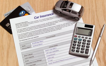 Top 7 Factors That Make Car Insurance So Expensive