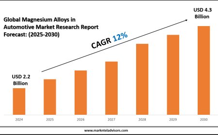 2025 Outlook: Magnesium Alloys in Automotive Market Growth and Future Trends