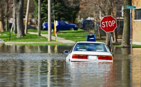 Flood Damage Insurance Explained: Everything You Need to Know