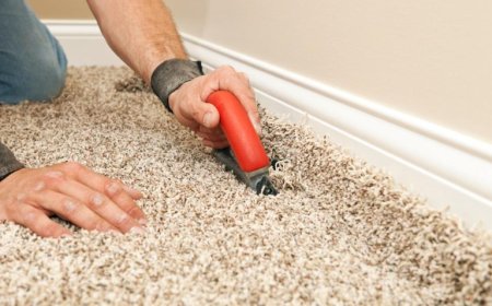 Carpet Repair vs. Replacement: Which One Saves You More Money?