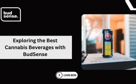 Exploring the Best Cannabis Beverages with BudSense