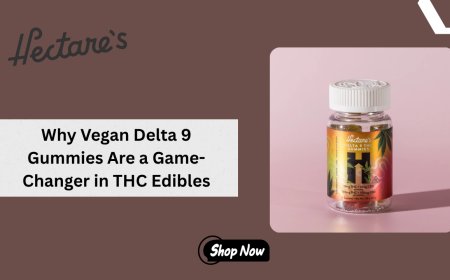 Why Vegan Delta 9 Gummies Are a Game-Changer in THC Edibles