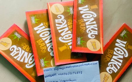 Psilocybin Therapy Of Magic Mushroom chocolate bar