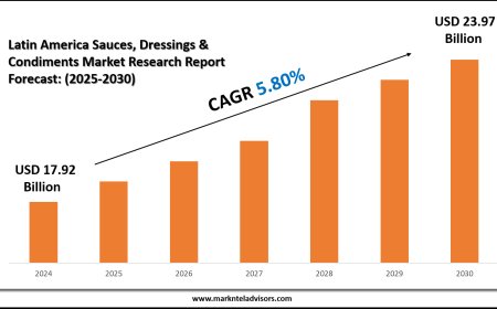 2025 Outlook: Latin America Sauces, Dressings & Condiments Market Growth and Future Trends