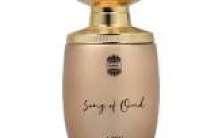 اختيار هدية مثالية؟ أفضل العطور الرجالية من فيردي خيار آمن