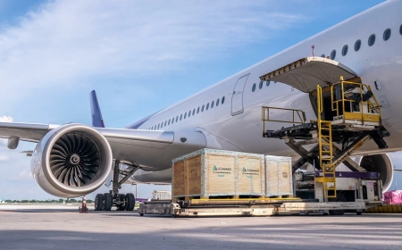 Soaring Success: Unlocking the Power of Air Cargo Freight in Today's Market