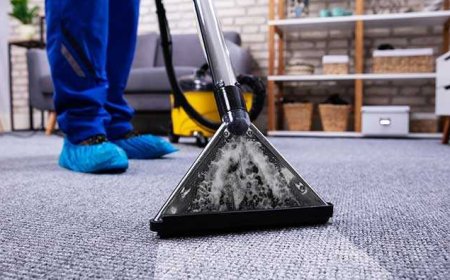 Who Offers the Best Expert Carpet Cleaning Services in Dubai?