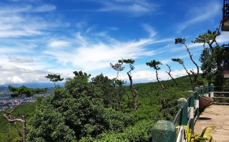 Book the Best Shillong Travel Package for a Scenic Escape