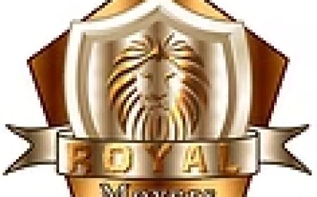 Moving Companies for Local Moves – Reliable & Affordable Solutions