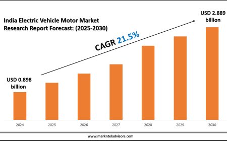 2025 Outlook: India Electric Vehicle Motor Market Growth and Future Trends