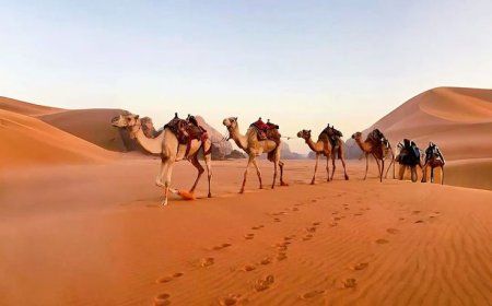 The Ultimate Guide to Dune Buggy Rental Dubai: Everything You Need to Know Before You Ride