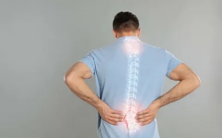 Understanding Injury Between T9 and T12 Vertebrae