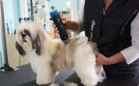 Top Grooming Styles for Shih Tzus You’ll Love