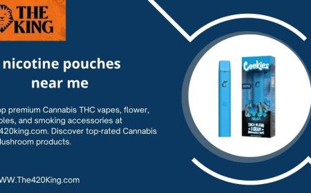 Where to Find Nicotine Pouches Near Me – The 420 King Guide