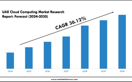 2025 Outlook: UAE Cloud Computing Market Growth and Future Trends