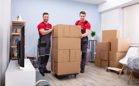 Smart Moves: Compelling Reasons Professional Condo Movers Are Worth Every Penny