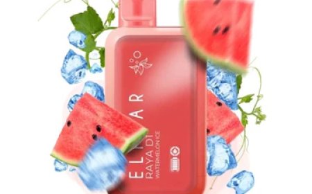 Elevate Your Vaping Experience: Exploring the Best Elf Bar Disposable Vapes in India